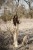 IMG_5334.jpeg