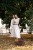 IMG_9808.jpeg